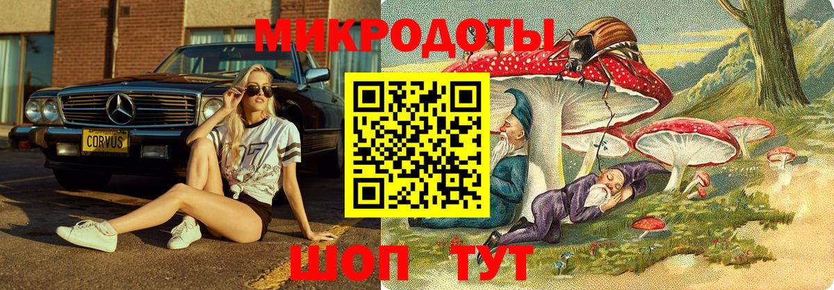 Галлюциногенные грибы Magic Shrooms Краснодар