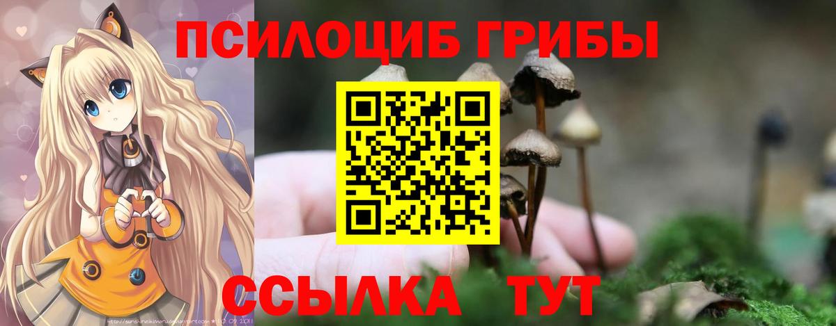 Краснодар  Псилоцибиновые грибы Cubensis  Вход с VPN 